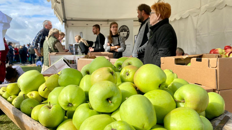 Smagen Af Sydhavs erne Sp ndende Rejse Med Ans Rejser